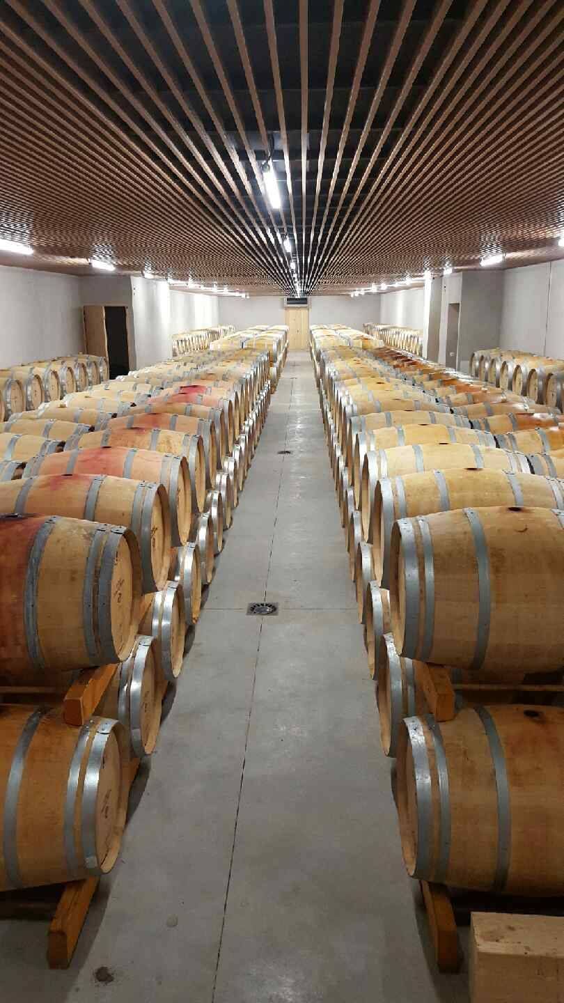 MG33 : Luminaire TUNI LED Sfel - Château Cambon La Pelouse