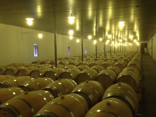 MG33 : Eclairage chaleureux doré par ampoules Filament Led