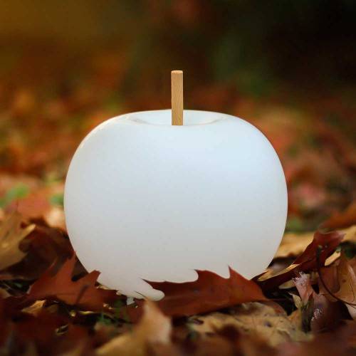 Lampe à poser KUSHI WOOD édition limitée by MEGALUX33